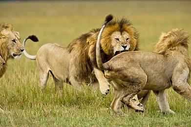 《仙剑7》DLC“人间如梦”2天倒计时 有新故事角色等